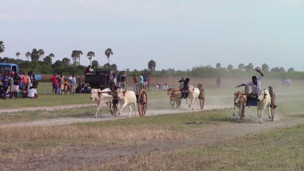 சோனப்பு மாட்டுவண்டி சவாரி