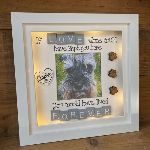 Customised Dog Memorial Photo Frame | LED Pet Memorial Picture Frame | Photo Frame with Scrabble Tiles | Customise a Frame