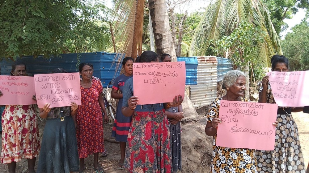காட்டு யானைகளின் அச்சுறுத்தலில் இருந்து பாதுகாக்க கோரி மக்கள் ஆர்ப்பாட்டம்