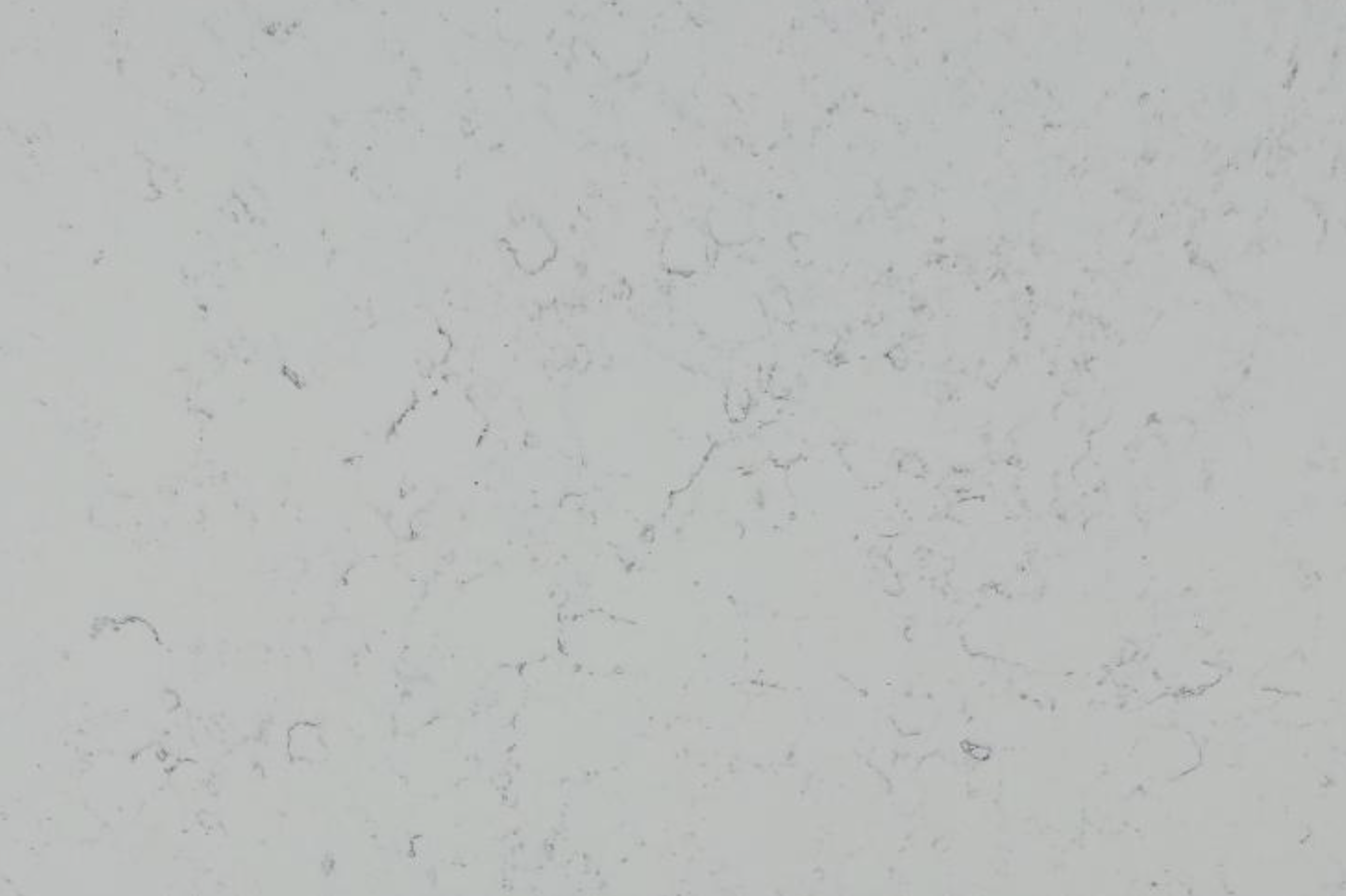 Nilestone Carrara Mist