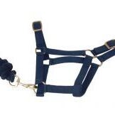 Headcollar & Lead Rope set - Economy