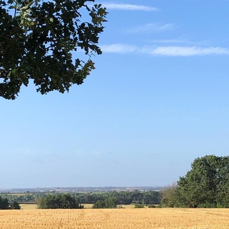 Tips to Survive the Summer