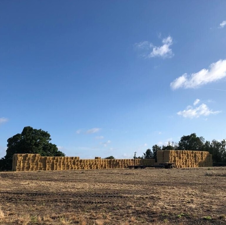 Tips to Survive the Summer