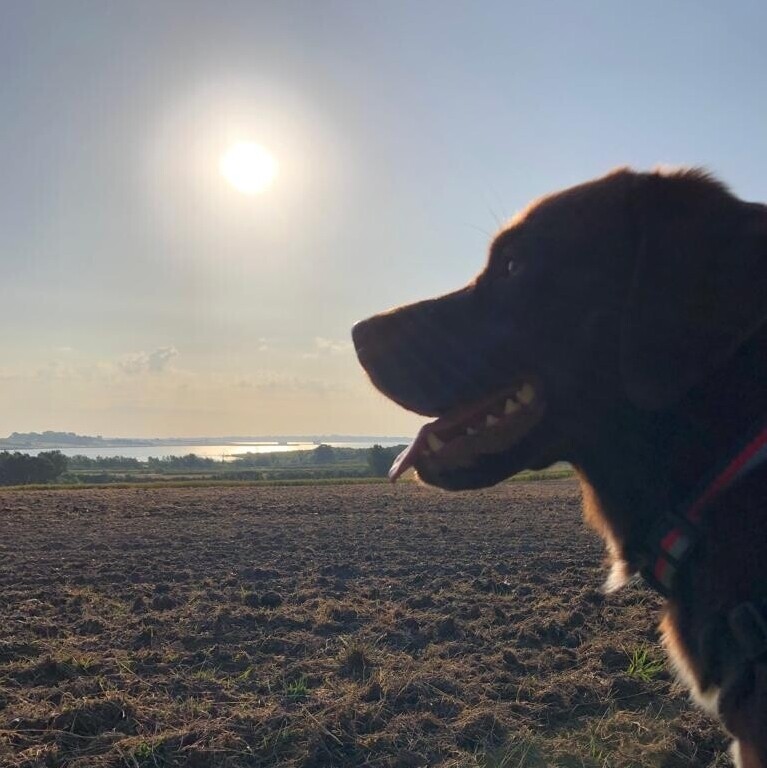 Tips to Survive the Summer