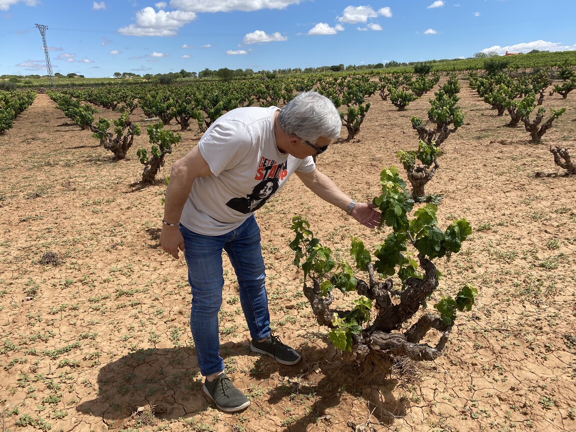 Manchuela – Spain As We Don’t Know It