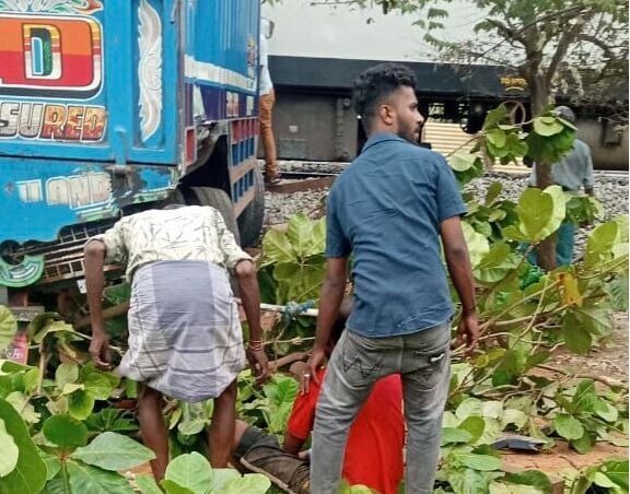 பலவகைச் செய்தித் துணுக்குகள்