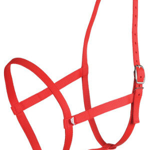 Underhalter - Webbing