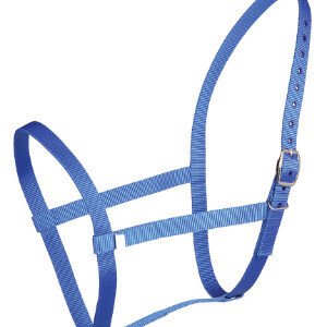 Underhalter - Webbing