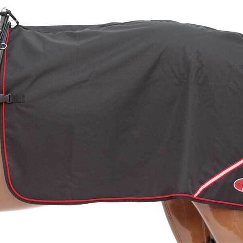 Deluxe Quarter Sheets