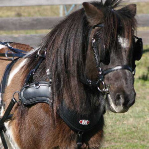 SL Sportz Harness Set