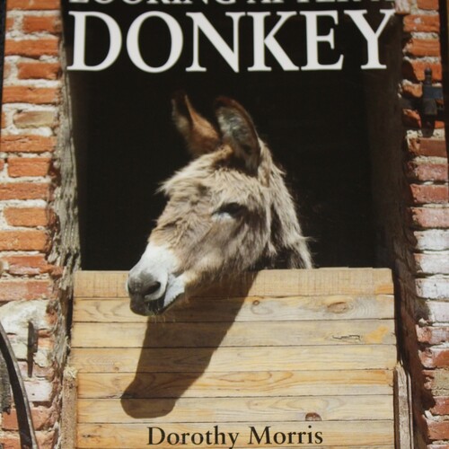 Donkey Keeping - Book