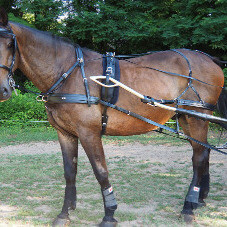 SL Plus - Single Harness Set