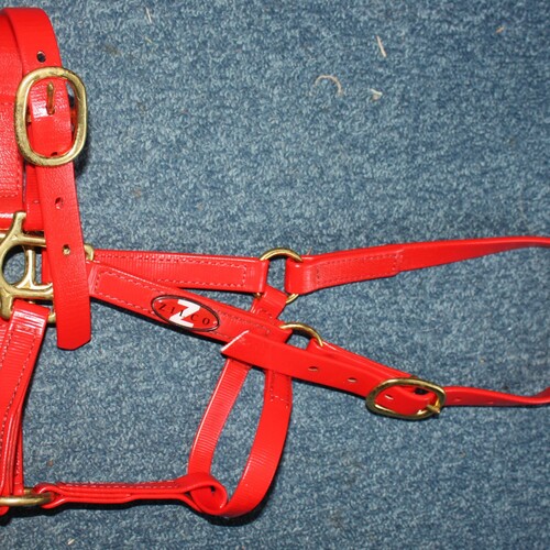 Zilco Headcollar *Secondhand*