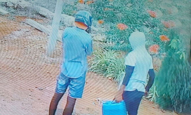 பலவகைச் செய்தித் துணுக்குகள்