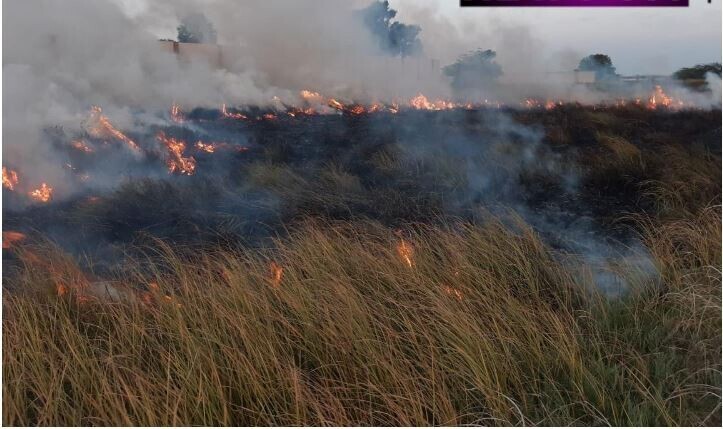 பலவகைச் செய்தித் துணுக்குகள்