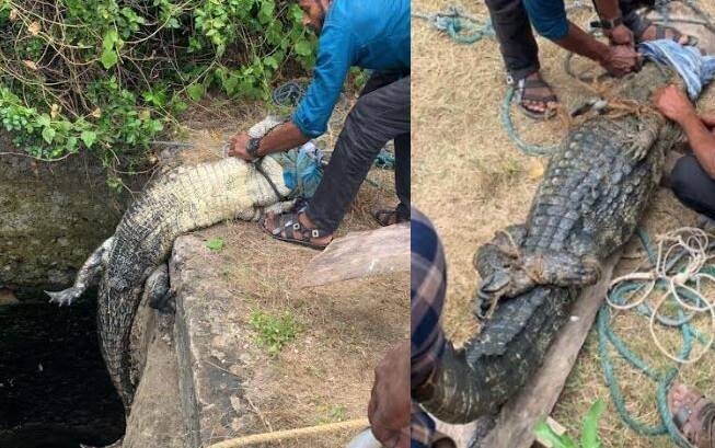 பலவகைச் செய்தித் துணுக்குகள்