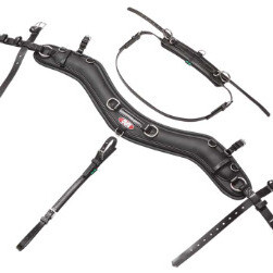 Empathy Pairs Collar Set - SL