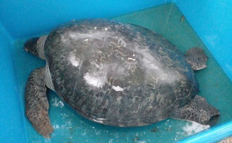 பலவகைச் செய்தித் துணுக்குகள்