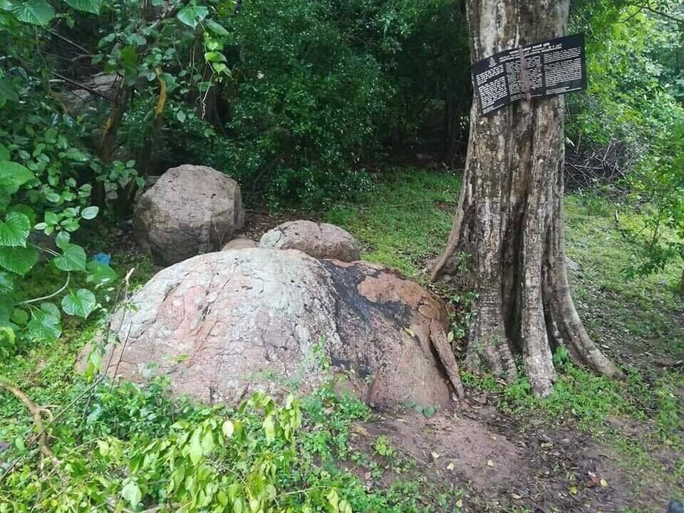 பலவகைச் செய்தித் துணுக்குகள்