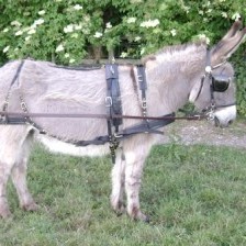 Customer Testimonial