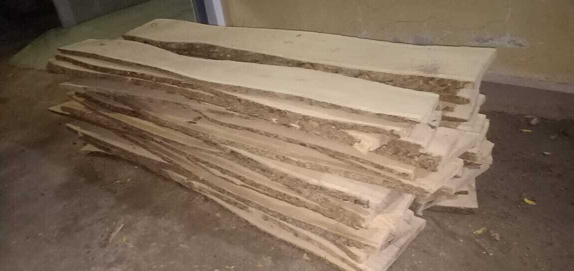 பலவகைச் செய்தித் துணுக்குகள்