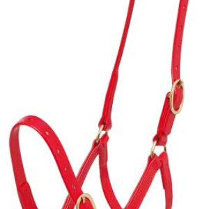 Zilco 19mm Headstall