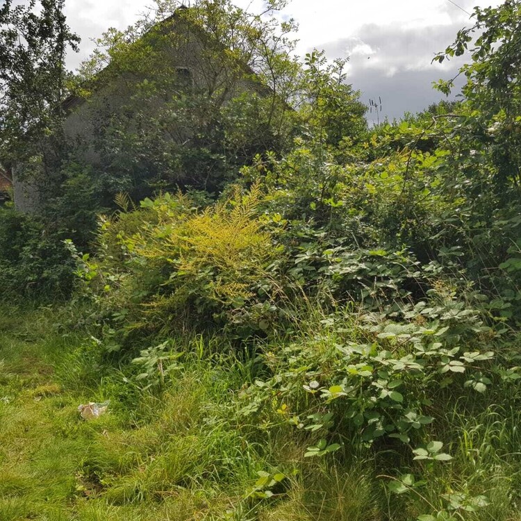 House & Garden Clearance