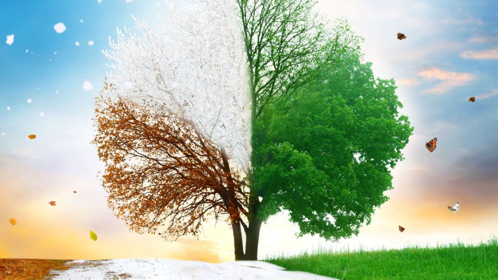 Weathering Eczema: Seasonal Flare-Up Management