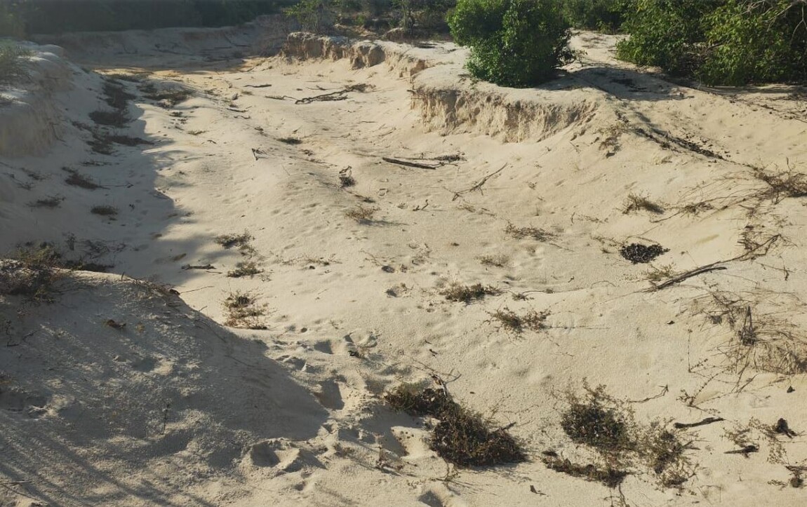 பலவகைச் செய்தித் துணுக்குகள்