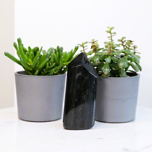 Polished Black Tourmaline Tower Point