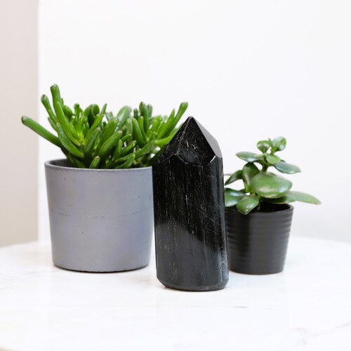 Polished Black Tourmaline Tower Point