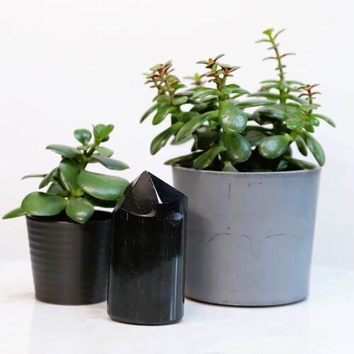 Polished Black Tourmaline Tower Point