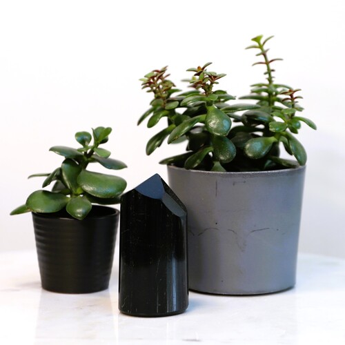 Polished Black Tourmaline Tower Point