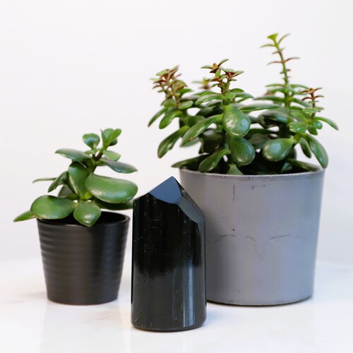 Polished Black Tourmaline Tower Point