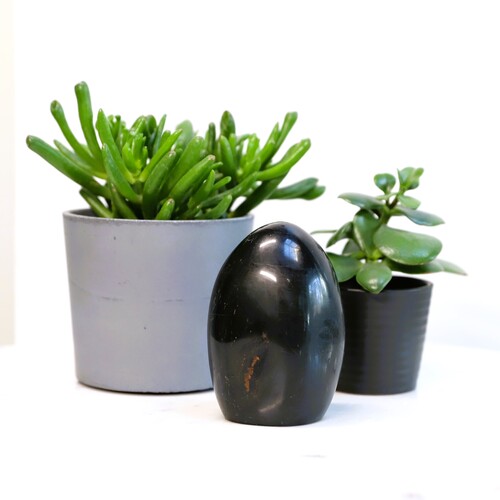 Polished Black Tourmaline freeform