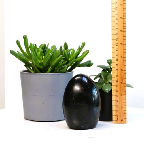 Polished Black Tourmaline freeform