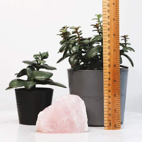Natural Raw Rose Quartz chunk