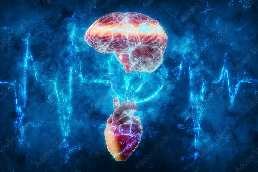 The Human Electromagnetic Field and the Heart-Brain Connection