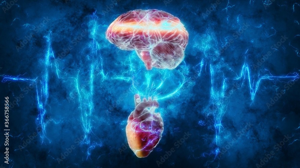 The Human Electromagnetic Field and the Heart-Brain Connection