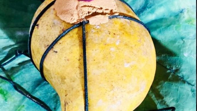 95ஆயிரம் ரூபா ஏலத்தில் விற்கப்பட்ட மாம்பழம்!