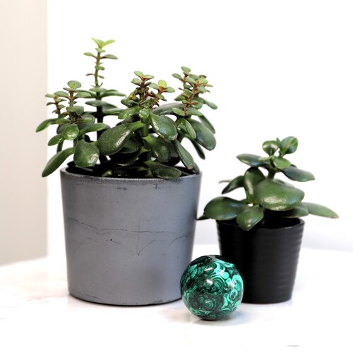 Malachite Polished Sphere