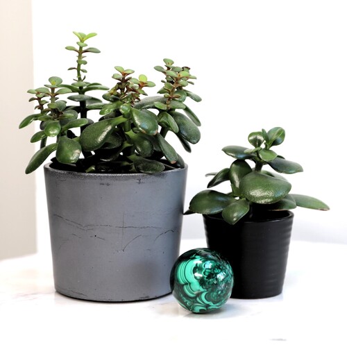 Malachite Polished Sphere