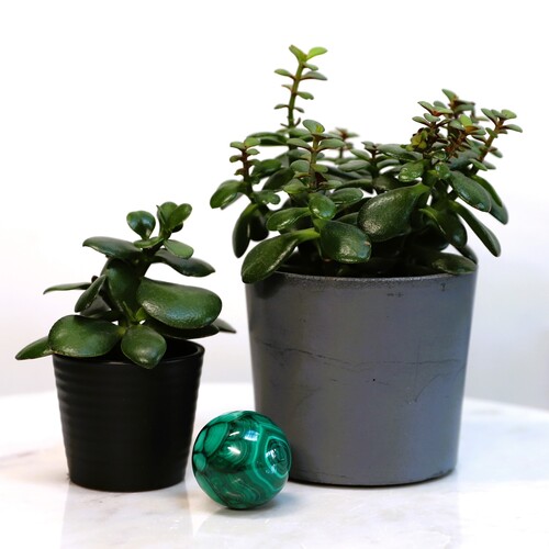 Malachite Polished Sphere