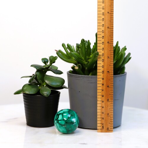 Malachite Polished Sphere