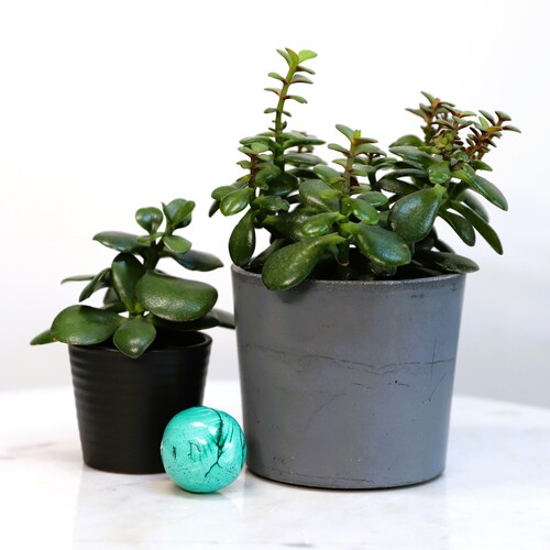 Malachite Polished Sphere