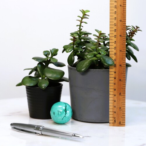 Malachite Polished Sphere