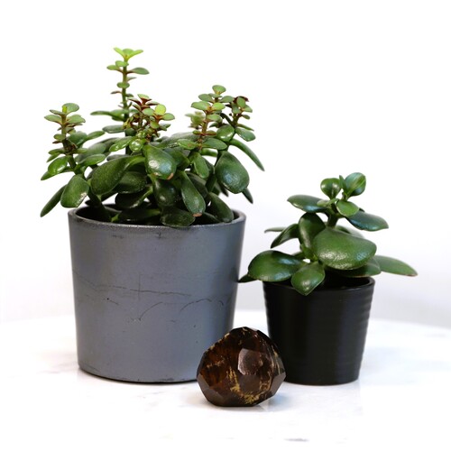 Almandine Garnet Crystal Free Form