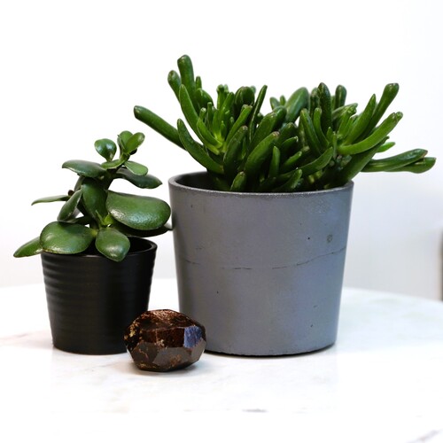 Almandine Garnet Crystal Free Form