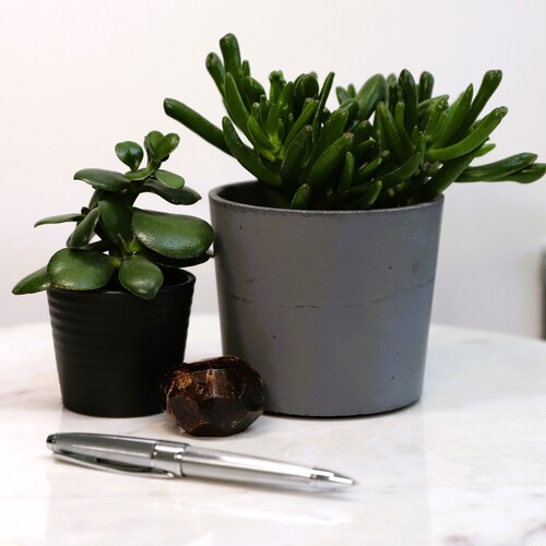 Almandine Garnet Crystal Free Form