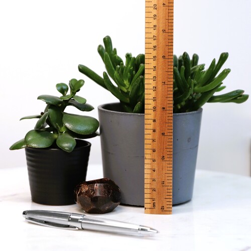 Almandine Garnet Crystal Free Form